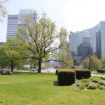 Skyline view of Toronto used as a starting point for day trips